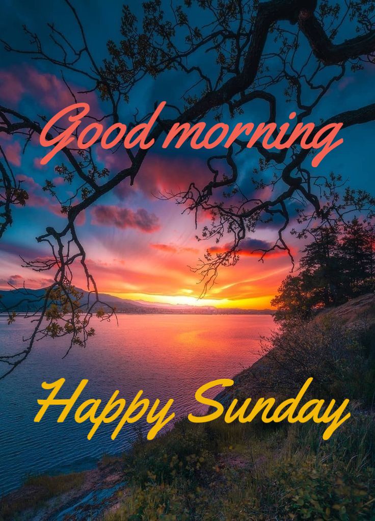 Happy Sunday Nurse Nook Family!!!!!