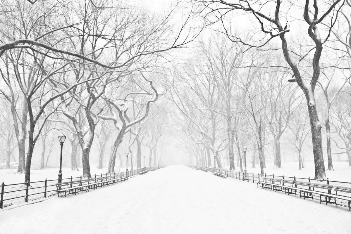 Winter ❄️ clothing for Women ♀️ and Men ♂️